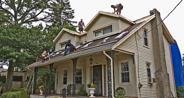 Best Roof Gutter Cleaning  in Devola, OH