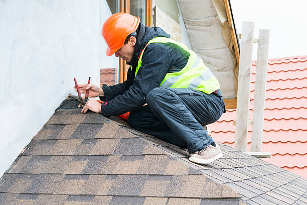Best Roof Leak Repair  in Devola, OH